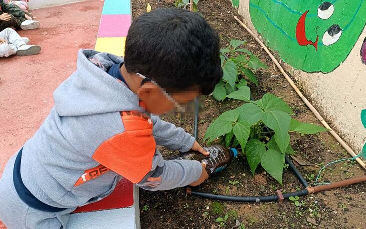 Benidorm convoca el primer concurso para elegir el Huerto Escolar más Sostenible de la ciudad